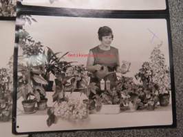 Farmos - Flora kasvinravintoliuos - mainoskuvasarja 26.7.1966 -valokuvat / vedossarja