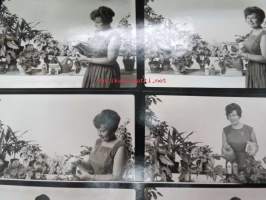 Farmos - Flora kasvinravintoliuos - mainoskuvasarja 26.7.1966 -valokuvat / vedossarja