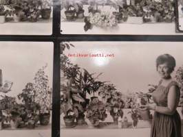 Farmos - Flora kasvinravintoliuos - mainoskuvasarja 26.7.1966 -valokuvat / vedossarja