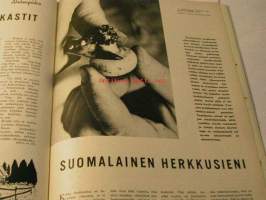 Kotiliesi 1967 nr 20