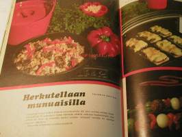 Kotiliesi 1967 nr 20