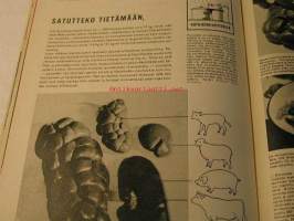 Kotiliesi 1967 nr 20