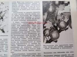Emännän tietokirja I-II