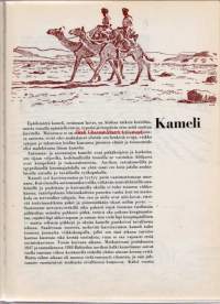 Brehm:  eläinten elämää, 1954.  Brehm oli saksalainen luonnontutkija, Berliinin akvaarion perustaja ja tietokirjailija.