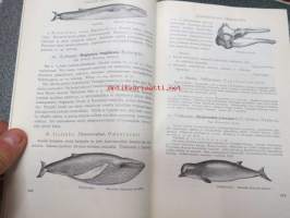 Suomen selkärankaiset - Vertebrata Fennica