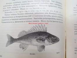 Suomen selkärankaiset - Vertebrata Fennica