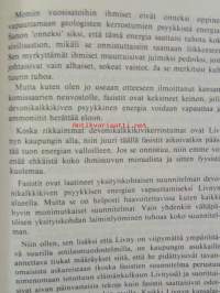 Kultainen ruusu - huomioita kirjailijan työstä