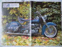 V8-Magazine keskiaukeama Harley Davidson Hydra-Glide