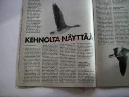 kotiliesi  1973  nr  5