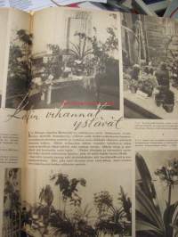 Kotiliesi 1946 nr 11, Kotilaisten kalasauna, käyttekö kirkossa