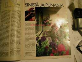 kotiliesi  1972  nr  10