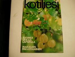 kotiliesi  1972  nr  14