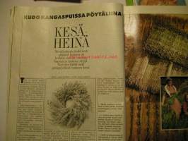 kotiliesi  1988  nr  13 + 32 -sivuinen säiköntäopas