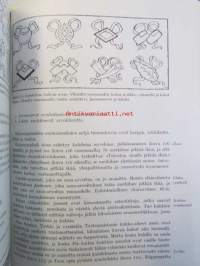 Itämaiden matot
