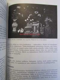 Itämaiden matot