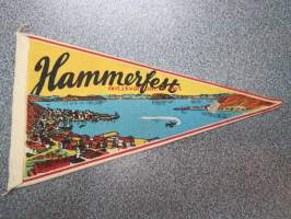 Hammerfest matkailuviiri