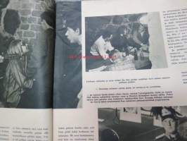 Uusi Viuhka 1964 nr 20