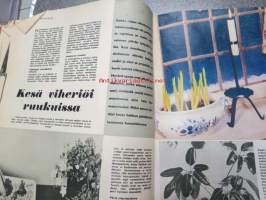 Uusi Viuhka 1964 nr 20