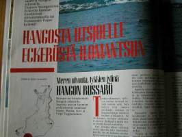 kotiliesi  1985  nr  24