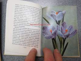 Tervehdys äidille - eri kirjoittajien novelleja &amp; runoja, kuvitettu kukka-aihein