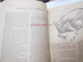 Talvikukkia - Evankelinen Joululehti 1947
