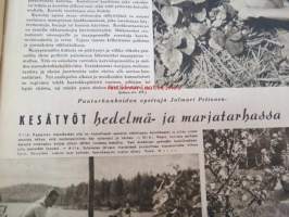 Kotiliesi 1943 nr 12, sisältää mm. seur. artikkelit / kuvat / mainokset; Puiset lastenrattaat, Saadaanko lopultakin lastensairaala?, Kesätyöt hedelmä- ja