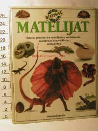 Matelijat