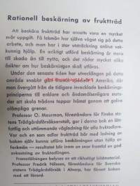 Rationell beskärning av fruktträd