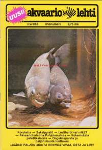 Akvaariolehti 3 / 1983. Kuukauden kala on korutetra.