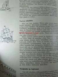 Vedestä ja vesijohdoista Vesionnisen 50-vuotispäivänä