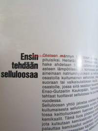 Enso-Gutzeit Osakeyhtiö 100 1872-1972