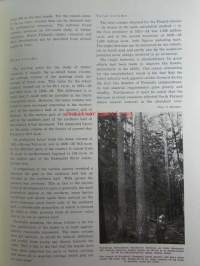 Suomen puun miehiä - Finnish timber men