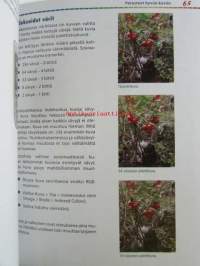 Digi-kamera Tehokäytössä