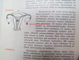 Odotettavissa... - Lääke Oy:n opas odottaville äideille