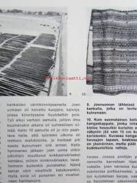 Kotiteollisuus 1972 nr 3