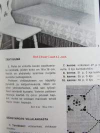 Kotiteollisuus 1972 nr 6