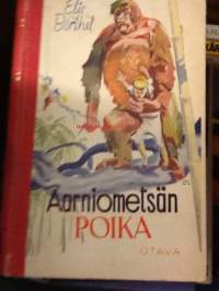 Aarniometsän poika
