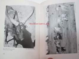 Exotic hides (not including La Plata hides) -eksoottiset nahkavuodat, esittelee erilaisia nahkavuotia maailman eri puolilta, englanninkielinen