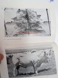 Exotic hides (not including La Plata hides) -eksoottiset nahkavuodat, esittelee erilaisia nahkavuotia maailman eri puolilta, englanninkielinen