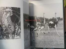 The book of Kenya. (Kuvateos Keniasta)