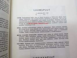 Taimihinnasto 1977 Turun taimistot Jali Lyyvaara