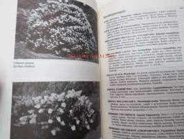 Taimihinnasto 1977 Turun taimistot Jali Lyyvaara