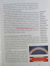 Suomalaisten uusi sydänkirja