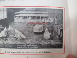 Ful-O-Pep -kananrehu, myyntiesite englanniksi