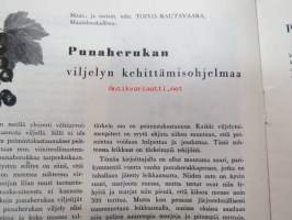 Koti Puutarha 1959 nr 8