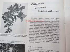 Koti Puutarha 1959 nr 8