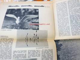 Näppäilijän Uutiset 1963 nr 5-6 -Helios Oy asiakaslehti