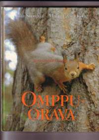 Omppu-orava