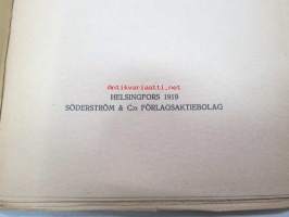 Scoutarbetet -partiotyö