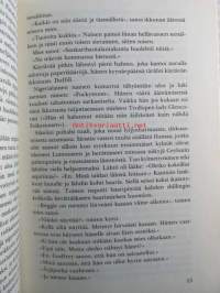Suuri junamatka